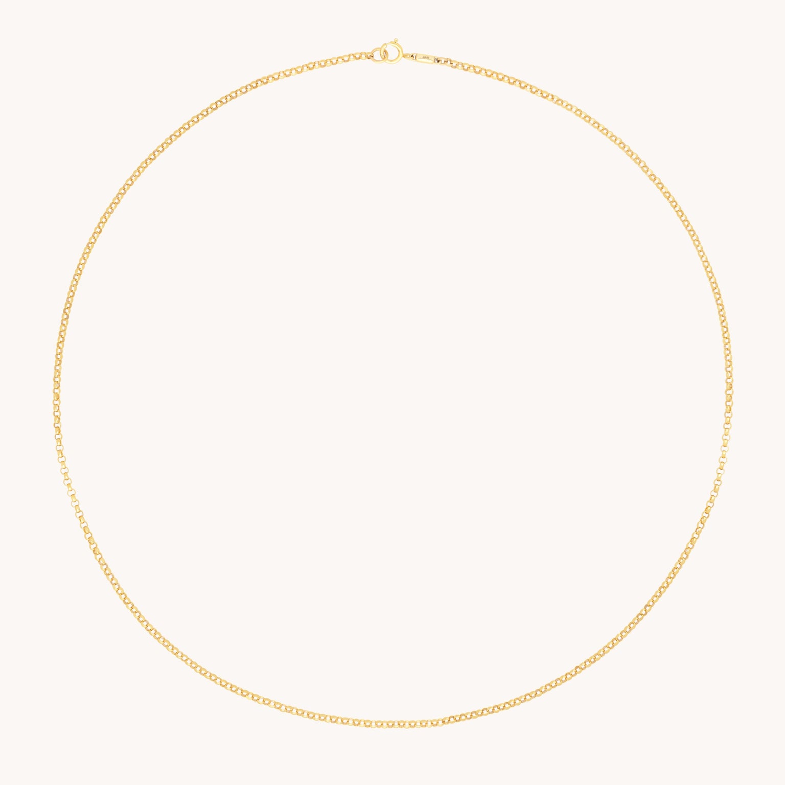 Charm Compatible Necklaces & Bracelets - Chelsea Chain Necklace in Solid Gold - - Astrid &amp; Miyu