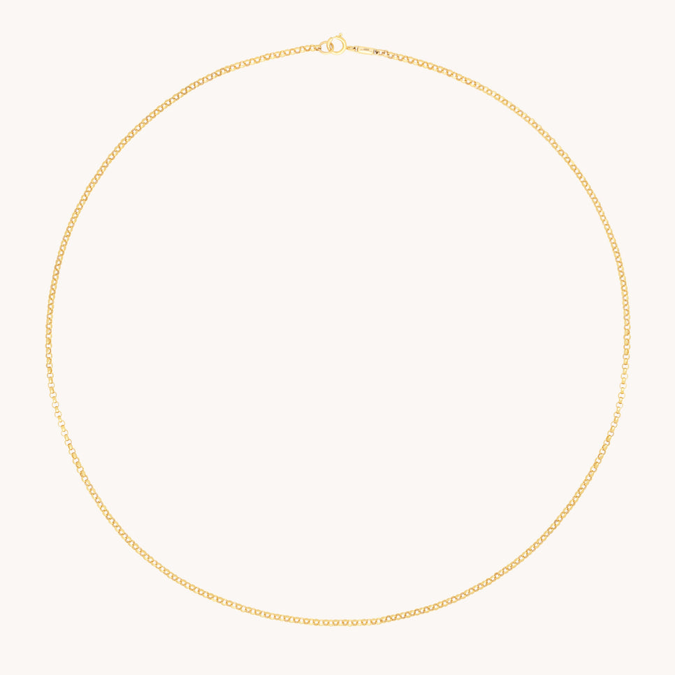Charm Compatible Necklaces & Bracelets - Chelsea Chain Necklace in Solid Gold - - Astrid &amp; Miyu