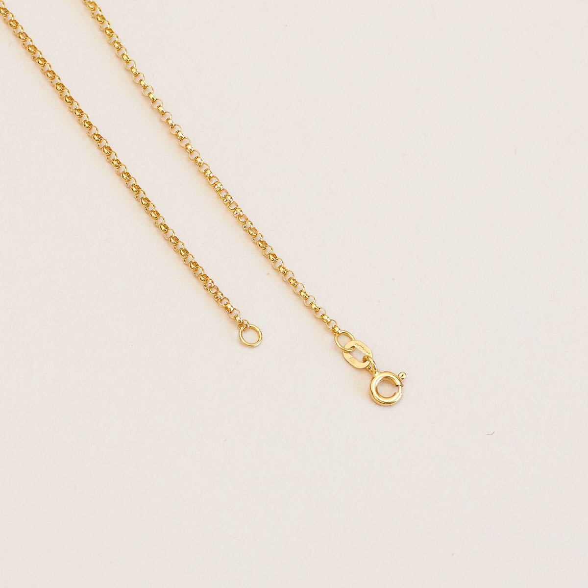 Charm Compatible Necklaces & Bracelets - Chelsea Chain Necklace in Solid Gold - - Astrid &amp; Miyu